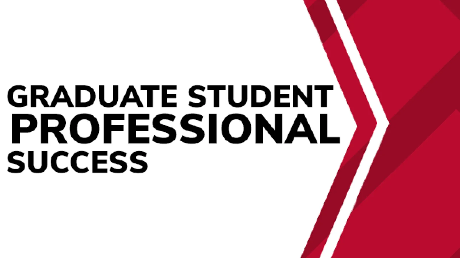 Grad student Professional Success